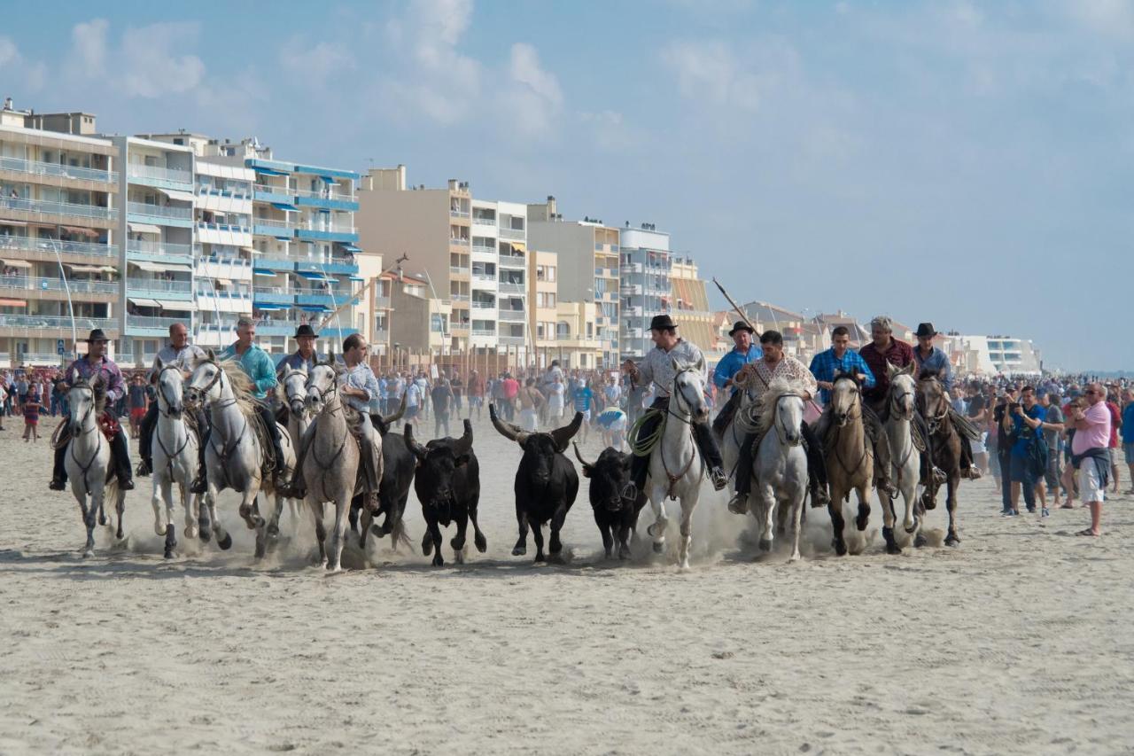 LES SOLEILLADES Parking 200 mètres plage Marsillargues Extérieur photo